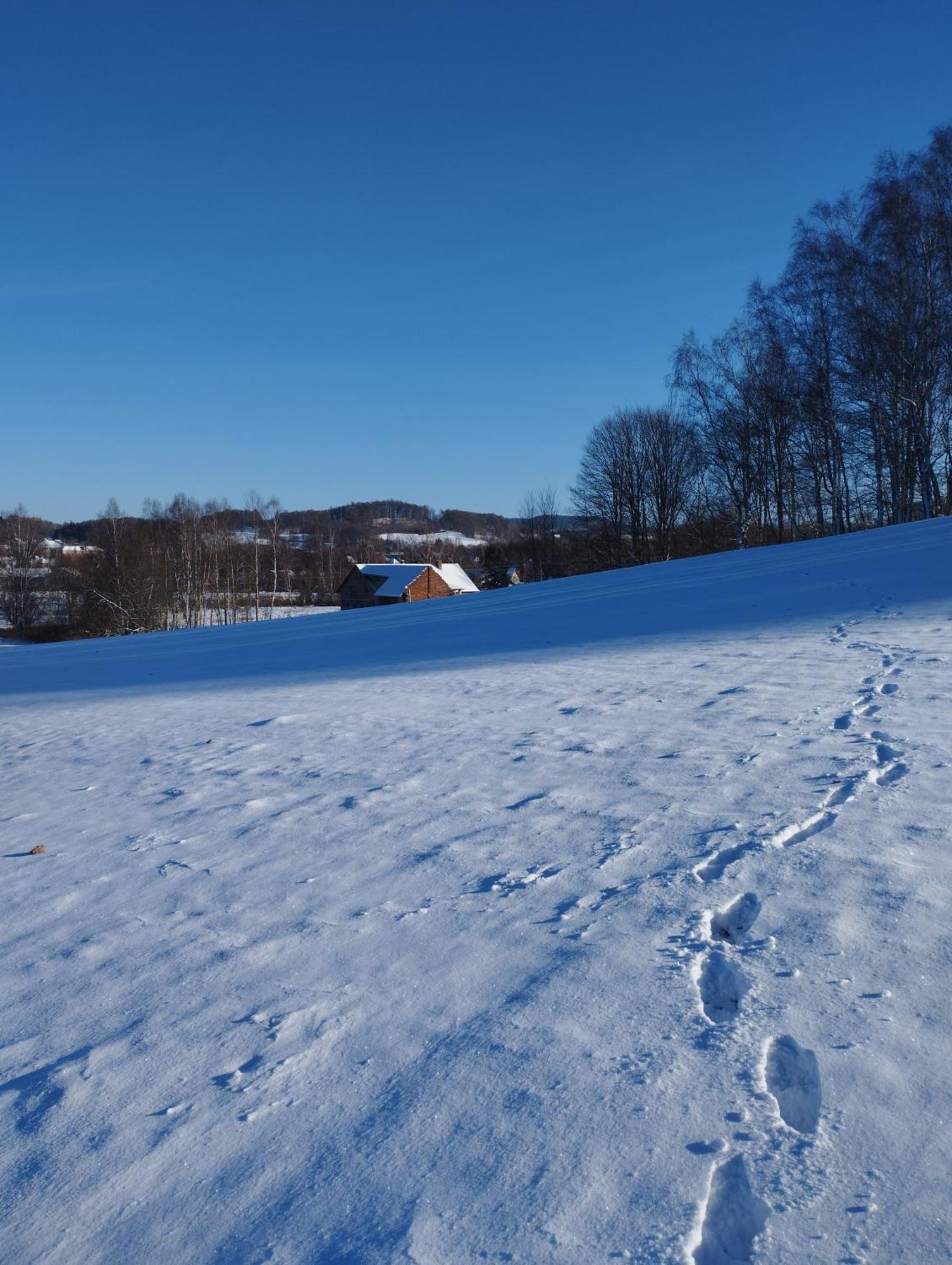 Zimmeruv Statek Mikulasovice ภายนอก รูปภาพ